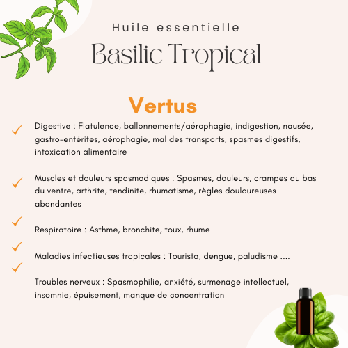 Huile essentielle de Basilic utilisation — free download
